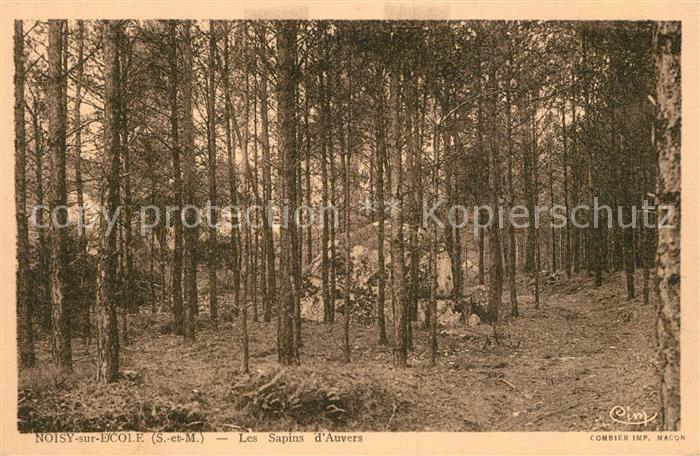 Noisy-sur-Ecole Les Apins d Auvers