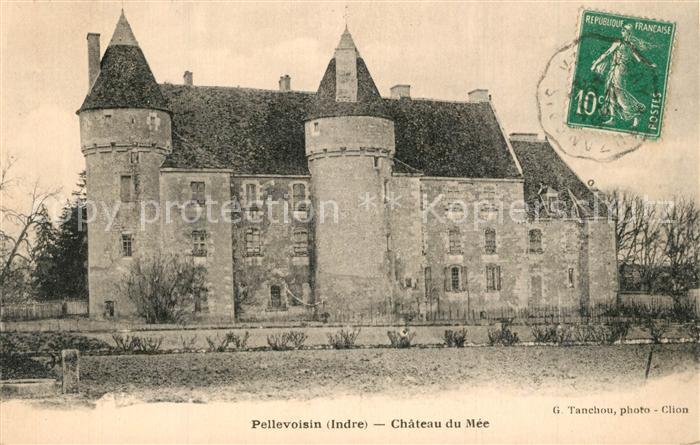 Pellevoisin Chateau du M