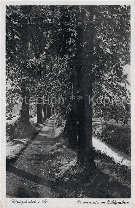 K?nigsbr?ck Promenade am M?hlgraben