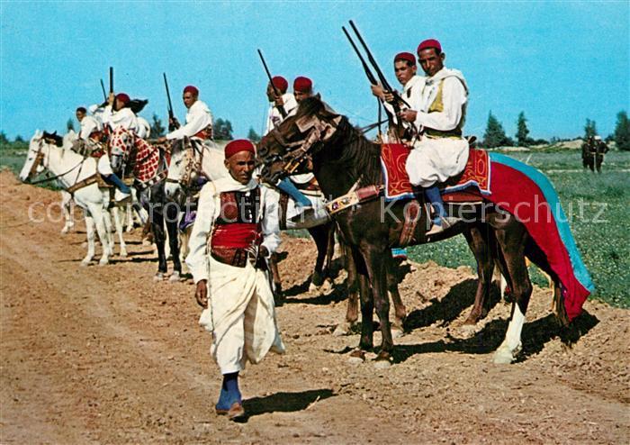 Tunis Cavaliers Zlass