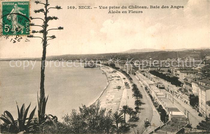 Nice Alpes Maritimes Baie des Anges Aloes en fleurs vue prise du Chateau