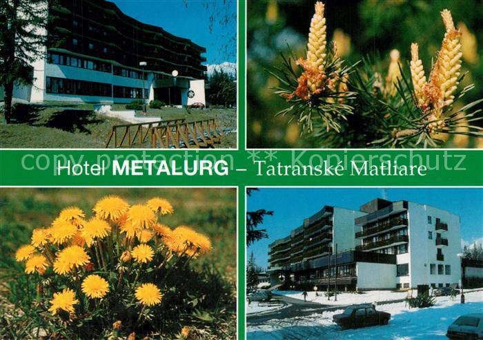 Tatranske Matliare Hotel Metalurg Borovica v kvete Pupava Flora Pflanzen