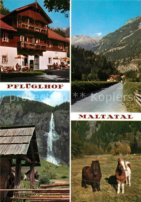 Maltatal Kaernten Alpenhotel Pflueglhof