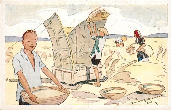 Ernte Landwirtschaft Riz d_Indo-Chine Battage