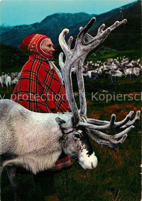 Rentier Lapp Woman Reindeer Norway