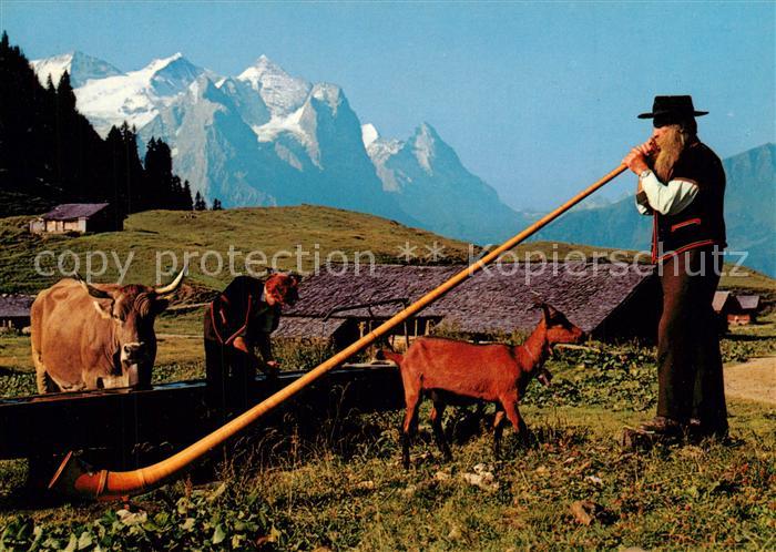 Alphorn Alphornbl?ser Wetterh?rner Eiger Ziege Kuh