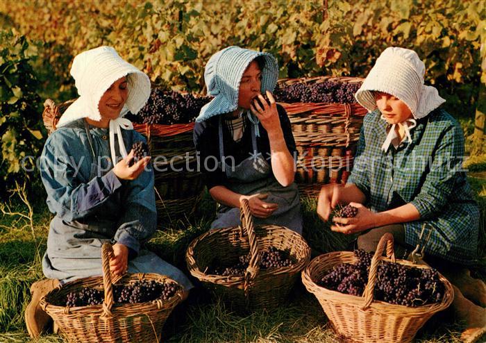 Ernte Landwirtschaft Weinlese Paysages Chamoenois