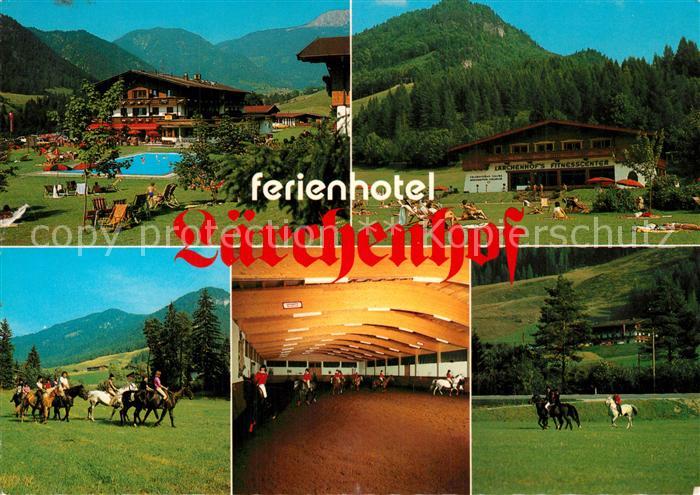 Erpfendorf Ferienhotel Laerchenhof Swimming Pool Liegewiese Pferdesport Ausreite