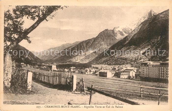 Chamonix Aiguille Verte Col de Balme