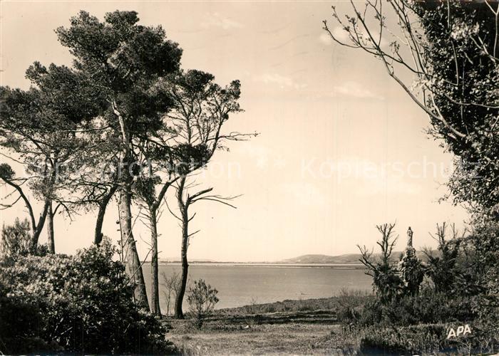 Palavas-les-Flots Herault Maguelonne la Vierge les Pins la Mer