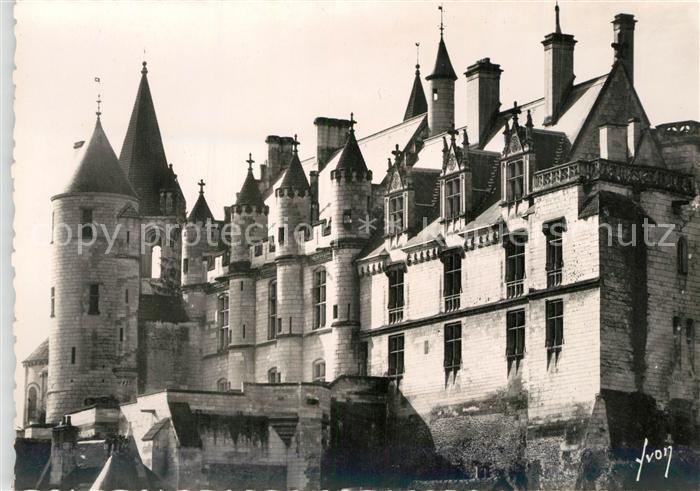 Loches Indre et Loire Chateau Tour Agnes Sorel