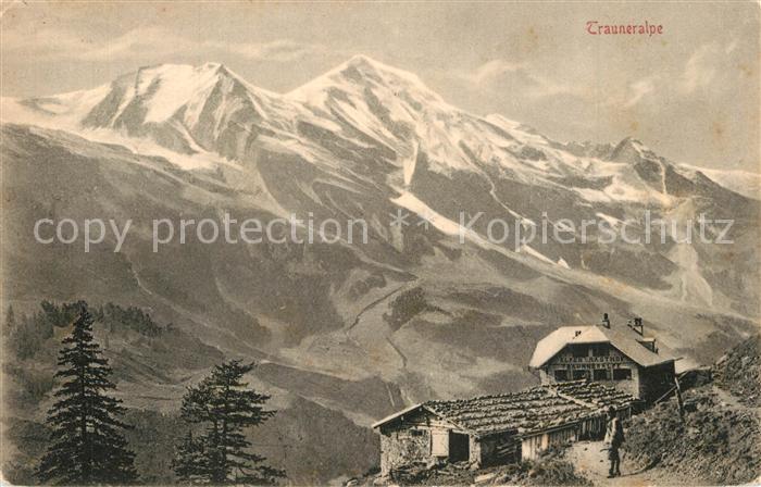 Trauneralpe Panorama