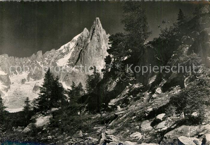 Chamonix Aiguille du Dru