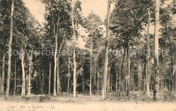 Eu 76 La forêt