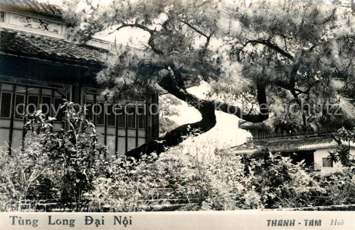 Thanh-Tam Hue Tung Long Dai Noi
