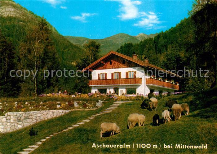 Mittenwald Bayern Aschauer Alm