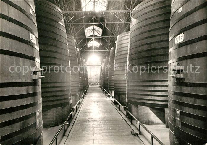 Thuir Etablissements Byrrh allée centrale du Grand Chai