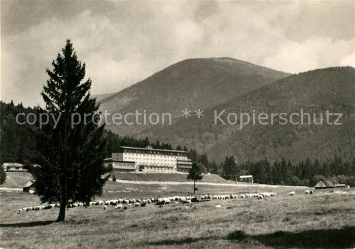 Tale Brezno Hotel Partizan Nizke Tatry Berghotel Niedere Tatra