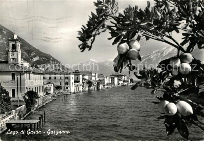 Gargnano Lago di Garda Haeuserpartie am Gardasee Zitrusfruechte