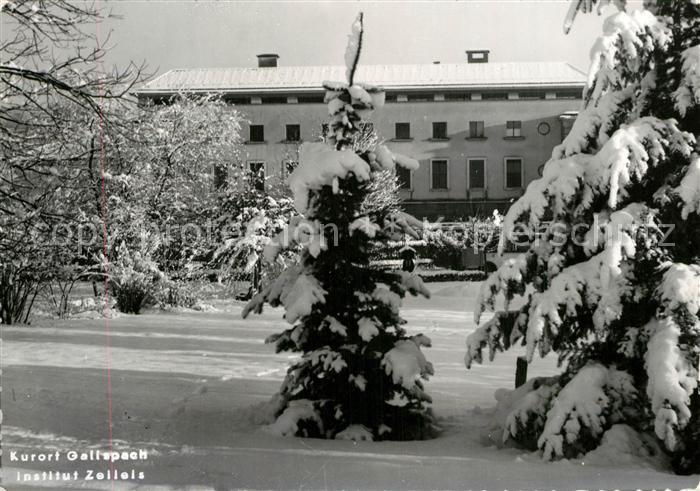 Gallspach Institut Zelleis