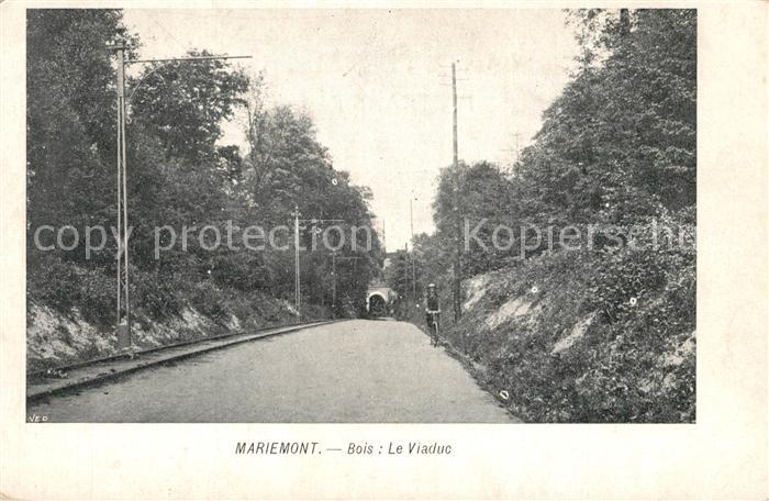 Mariemont Hainaut Bois Le Viaduc