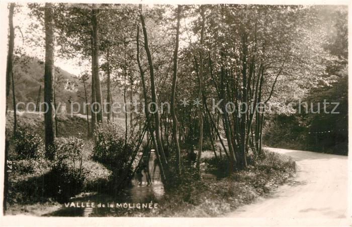 Ermeton-sur-Biert Vallee de la Molignee
