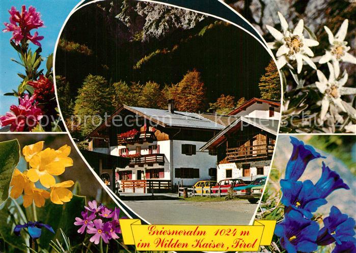 Kirchdorf Tirol Unterkunftshaus Griesneralm Naturschutzgebiet Wilder Kaiser Alpe