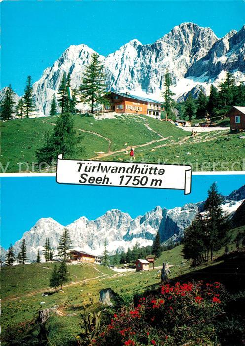 Ramsau Dachstein Steiermark Tuerlwandhuette Dachsteinsuedwaende Alpenflora
