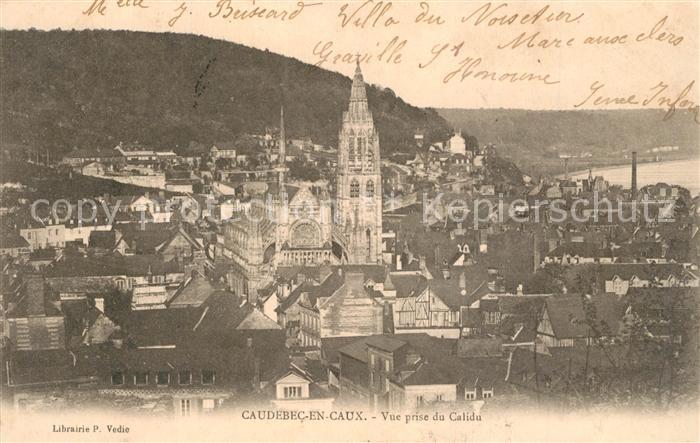 Caudebec-en-Caux Vue prise du Calidu