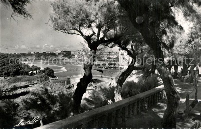 Biarritz Pyrenees Atlantiques Promenade sous les tamaris