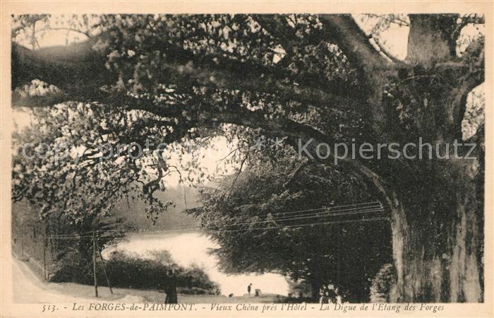 Les Forges de Paimpont Vieux Chenepres Hotel La Digue de l’Eta