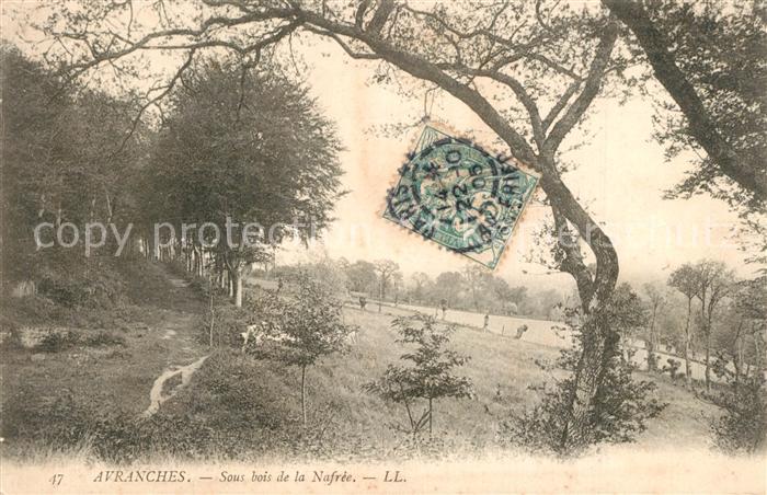 Avranches Sous bois de la Nafree