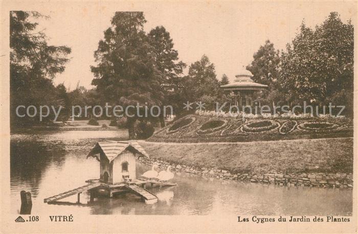 Vitre d Ille-et-Vilaine Les Cygnes du Jardin des Plantes