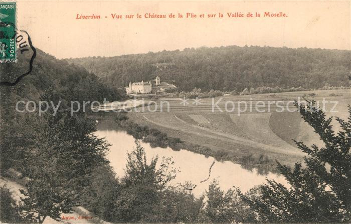 Liverdun Panorama Chateau de la Flie Vallee de la Moselle