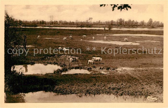 Bourbon-Lancy La Loire et ses Pâturages