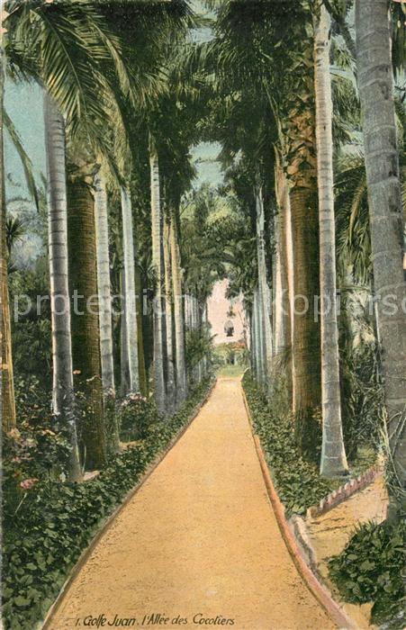 Golfe-Juan Vallauris 06 Alpes-Maritimes Allée des Cocotiers