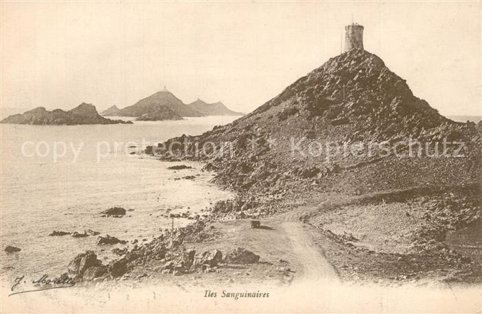 Iles Sanguinaires Vue Generale