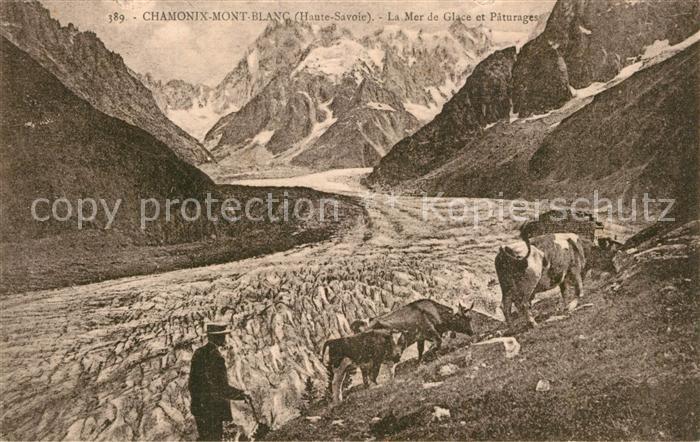 Chamonix Mer de Glace et Pâturage Alpes