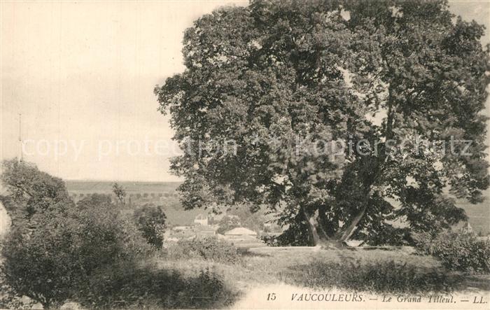 Vaucouleurs Le Grand Tilleul