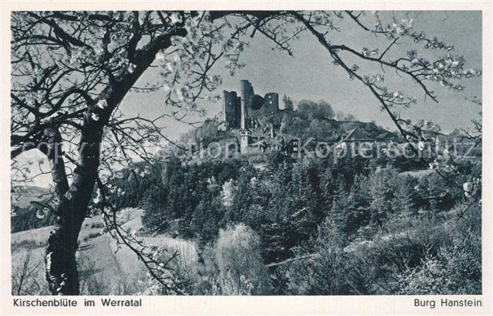 Bad Sooden-Allendorf Burg Hanstein Kirschenbluete im Werratal