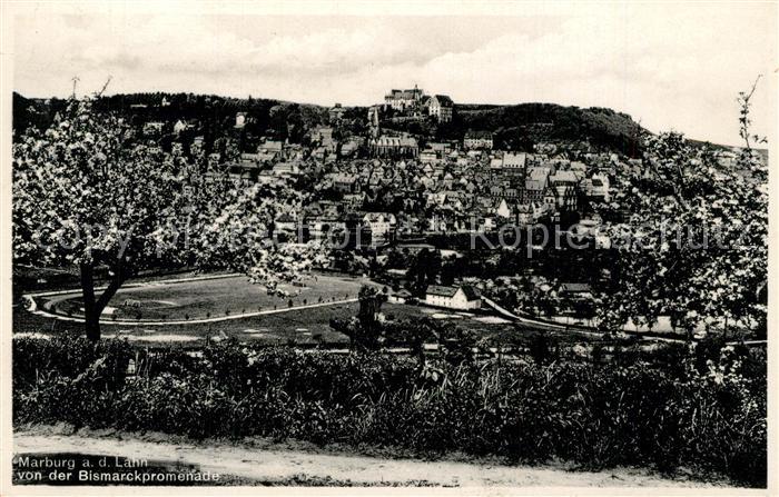 Marburg Lahn Panorama Blick von der Bismarckpromenade Baumbluete
