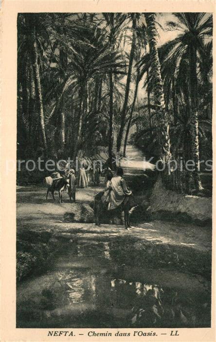 Nefta Chemin dans l'Oasis