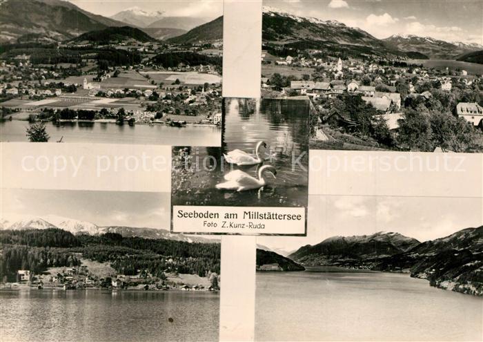 Seeboden Millstaettersee Landschaftspanorama Alpen Schwaene