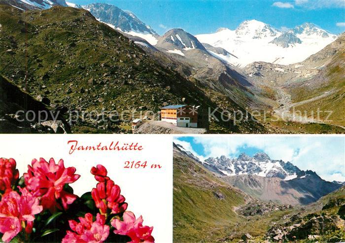 Galtuer Tirol Jamtalhuette Silvretta Alpenflora