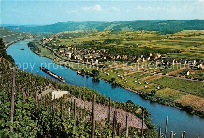Erden Landschaftspanorama Blick ueber die Mosel Weinberge Hotel Zum Moseltal