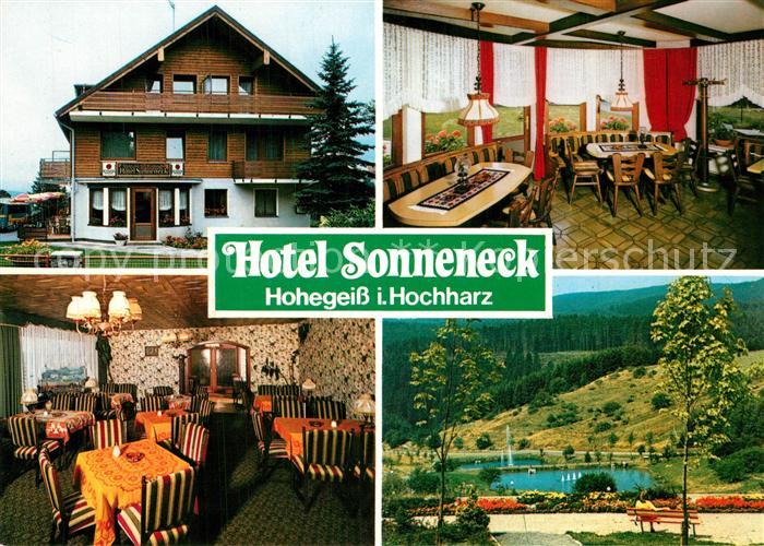 Hohegeiss Harz Hotel Sonneneck Restaurant Landschaftspanorama Teich