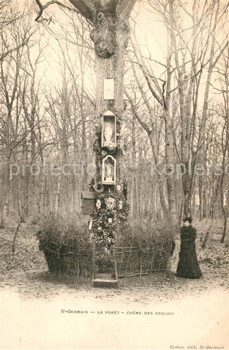 Saint-Germain Ardeche La Foret Chene des Anglais