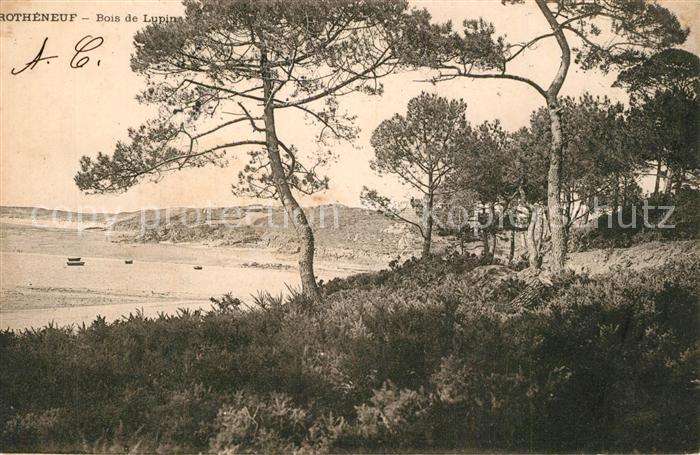 Rotheneuf Bois de Lupin
