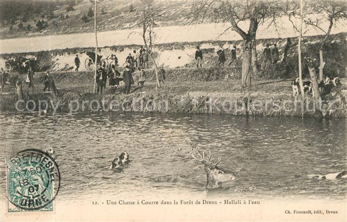 Dreux Une Chasse a Courre dans la Foret de Dreux Hallali a l'eau
