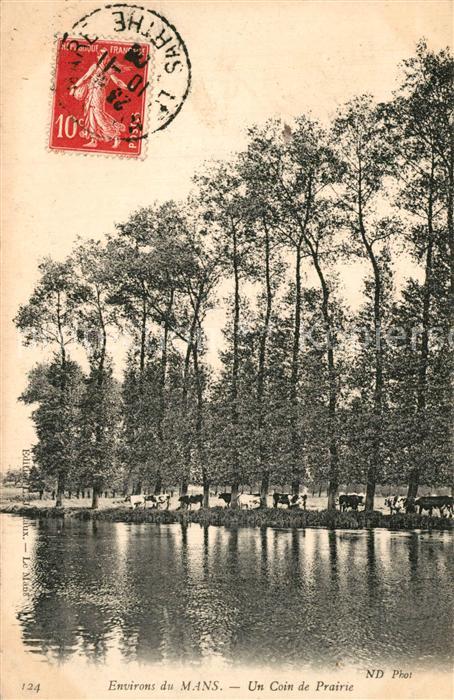 Le Mans Sarthe Un coin de prairie